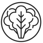 clean, quality ingredients